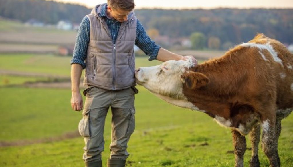 Agriculture : augmentation de plusieurs aides de la Pac au titre de 2023
