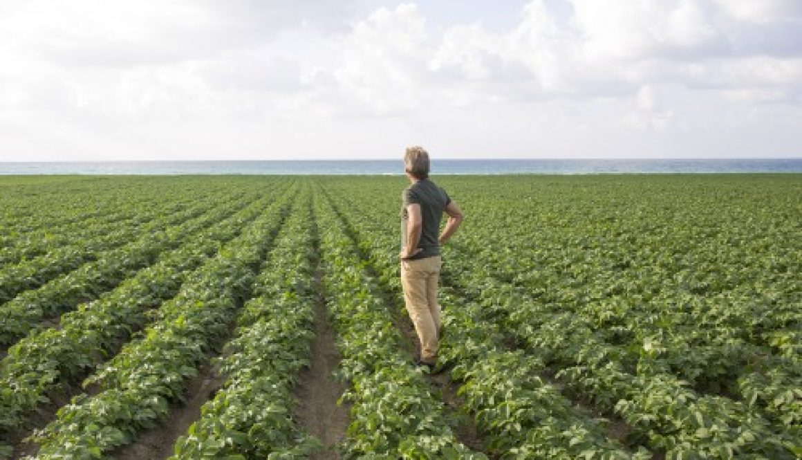 Violation du droit de préemption de l'exploitant agricole : quel délai pour contester ?