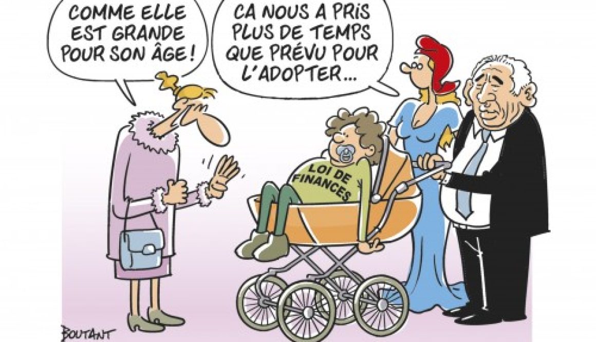 Loi de finances pour 2025