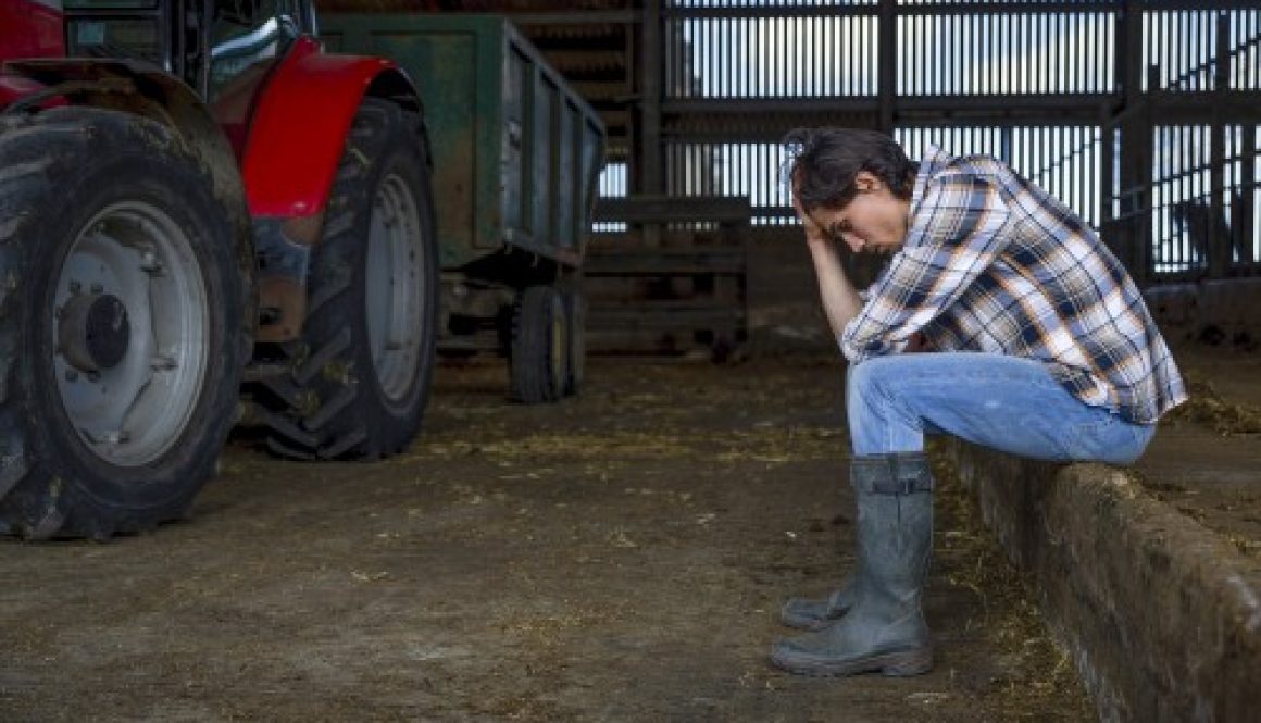 Exploitants agricoles : le dispositif de prêts structurels garantis par l'État est en place