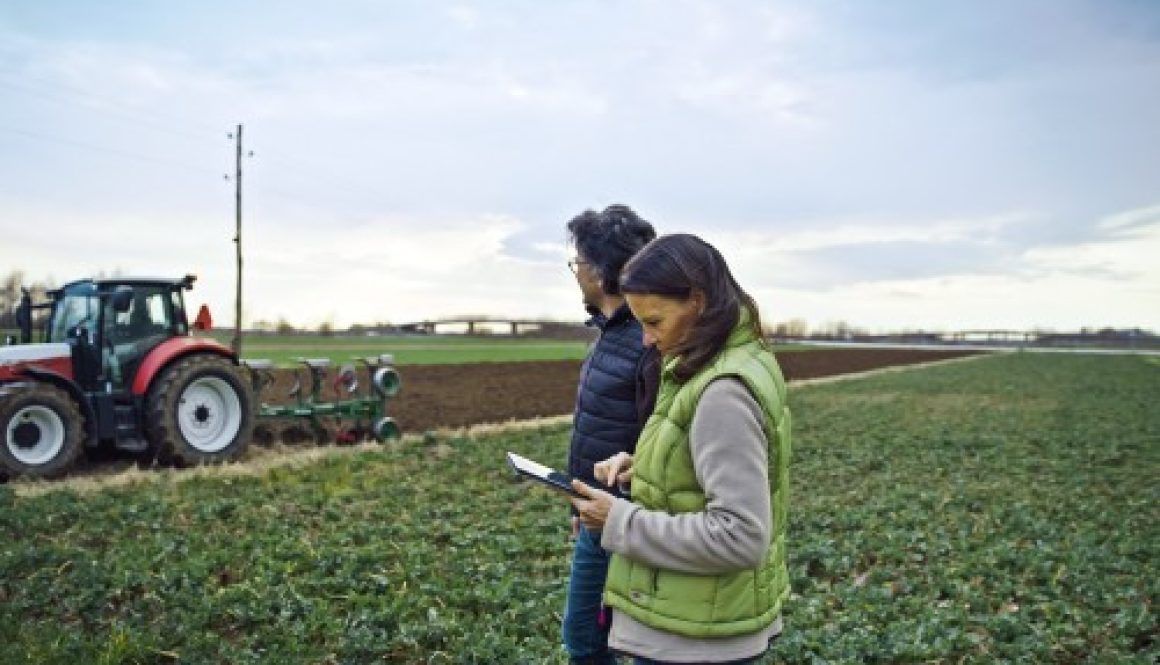 Acquisition de parcelles agricoles par substitution aux droits d'une Safer : du nouveau !