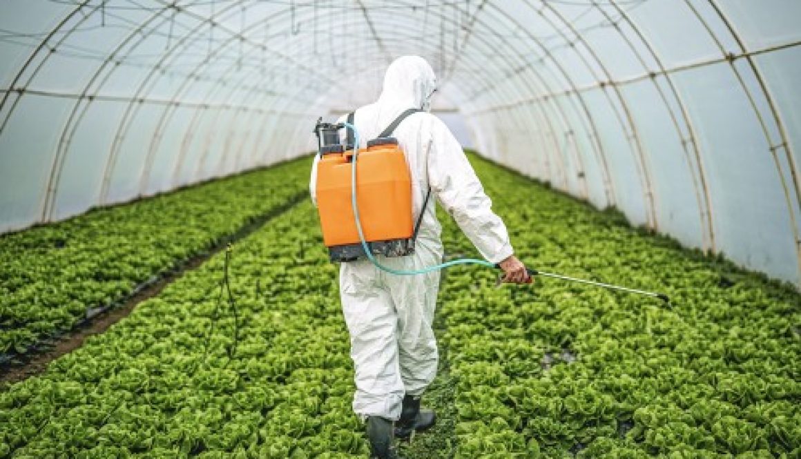 Exploitants agricoles : prolongation d'un an des certiphytos arrivant à échéance