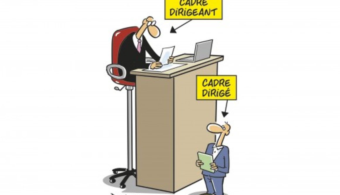 Cadre dirigeant