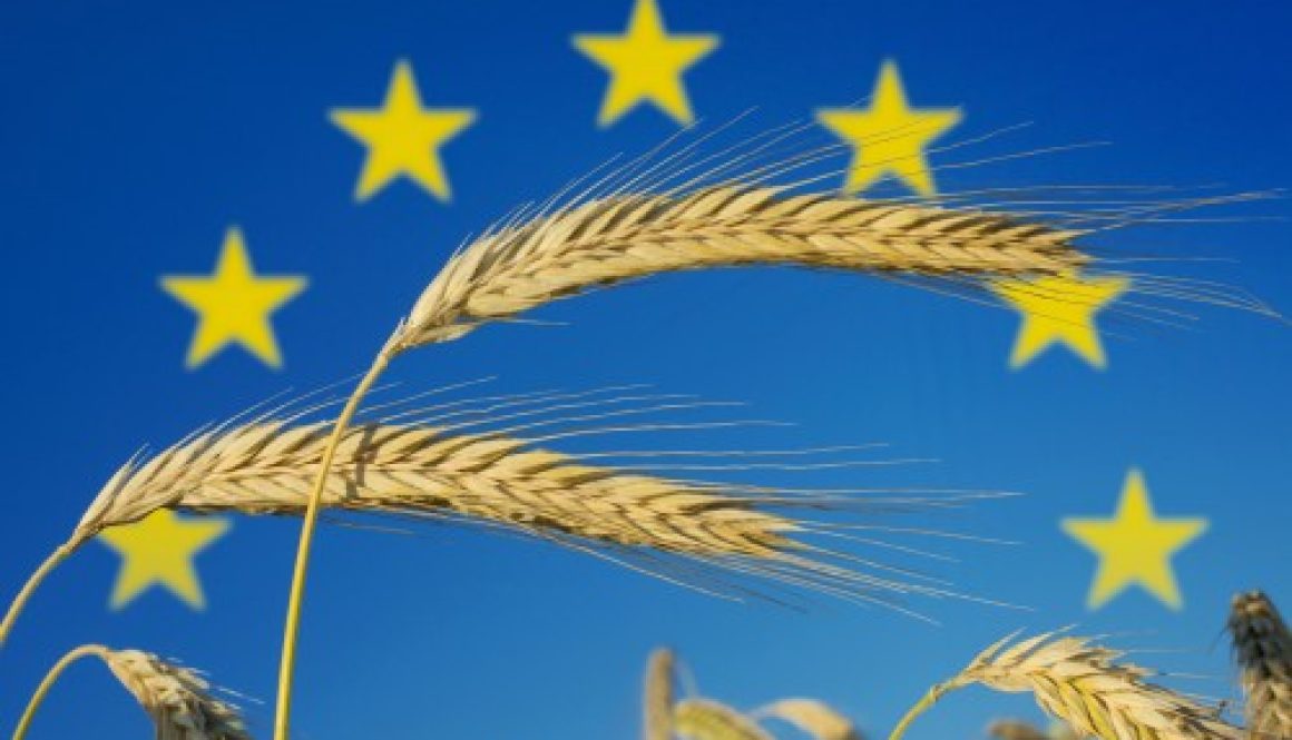 Exploitants agricoles : plus que quelques jours pour déposer votre déclaration Pac