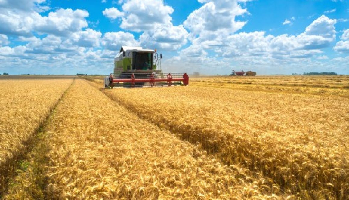 Exploitants agricoles : le calendrier de versement des aides Pac 2025
