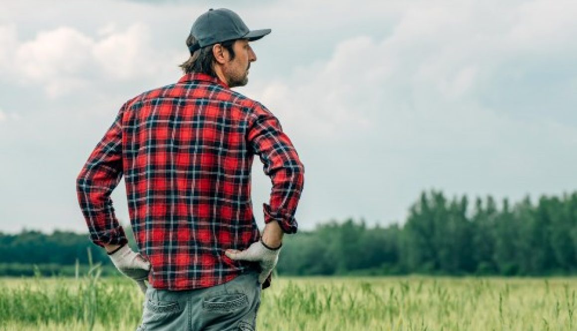 Exploitants agricoles : le dispositif des prêts de consolidation est opérationnel