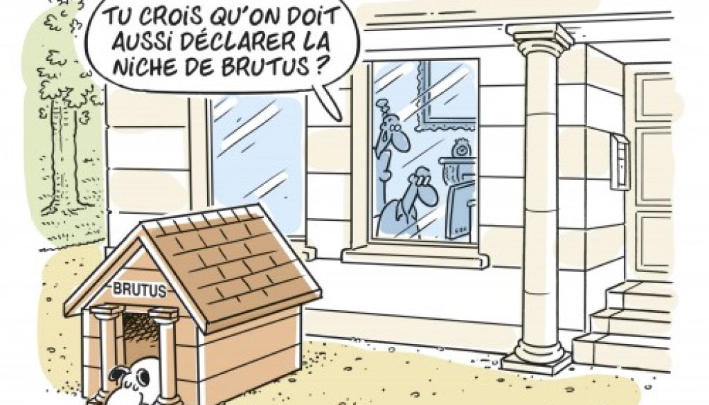 Déclaration des biens immobiliers