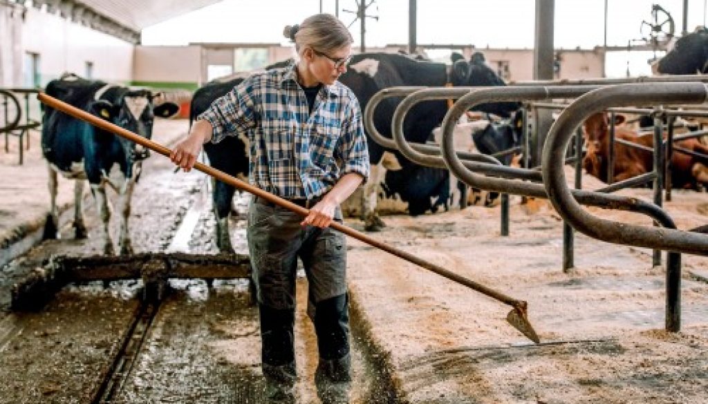 Option des exploitants agricoles pour une assiette annuelle de leurs cotisations sociales