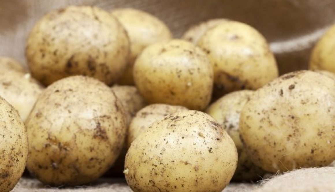 Producteurs de pommes de terre : déclarez vos surfaces !