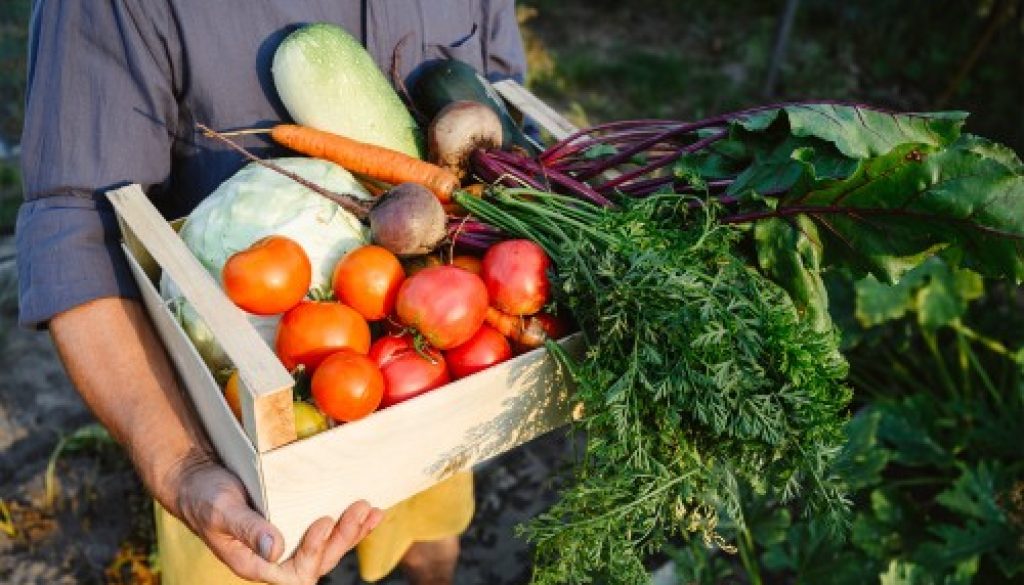 Exercice d'une activité commerciale accessoire par une société agricole : du nouveau !