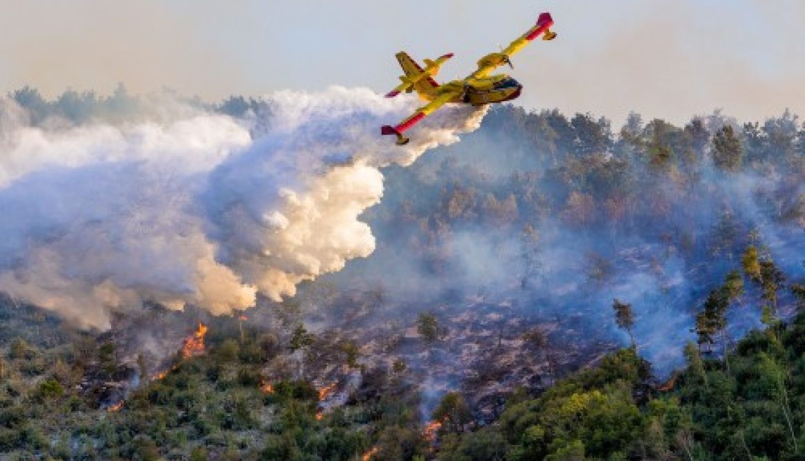 Un soutien de l'Urssaf pour les entreprises victimes des récents incendies ou intempéries